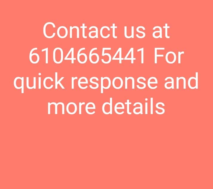 Pug Puppies For Sale Oklahoma City, OK 327628 Petzlover