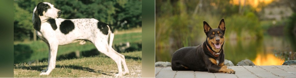 Australian Kelpie vs Ariegeois - Breed Comparison