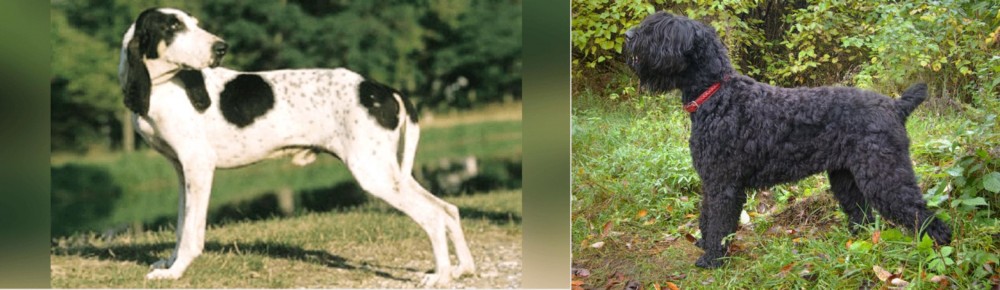 Black Russian Terrier vs Ariegeois - Breed Comparison