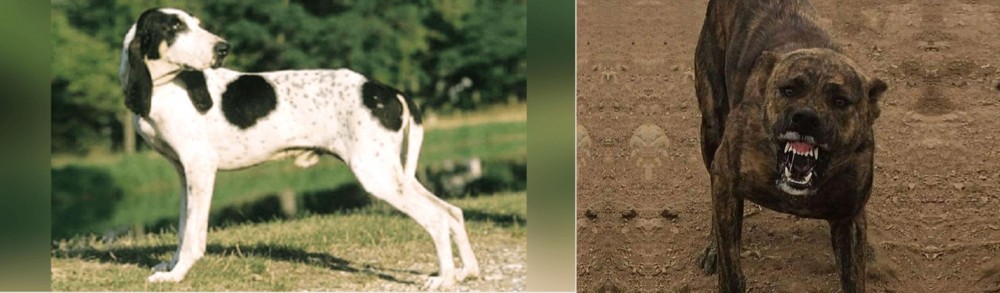 Dogo Sardesco vs Ariegeois - Breed Comparison