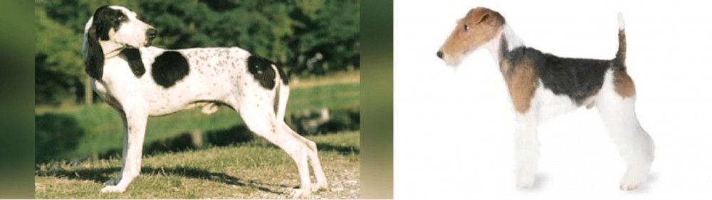 Fox Terrier vs Ariegeois - Breed Comparison