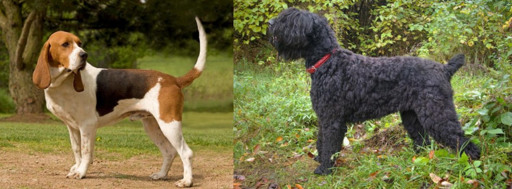 Black Russian Terrier vs Artois Hound - Breed Comparison