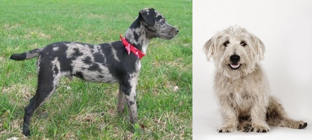 Glen of Imaal Terrier vs Atlas Terrier - Breed Comparison