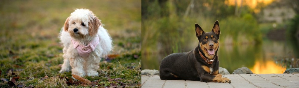Australian Kelpie vs West Highland White Terrier - Breed Comparison