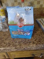 Agag Gerbil Rodents for sale in Lexington, SC, USA. price: NA