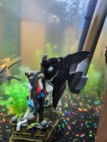 Angelfish Fishes for sale in Fort Gibson, OK 74434, USA. price: NA