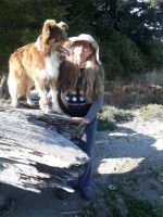 Australian Collie Puppies for sale in Coos Bay, OR, USA. price: NA