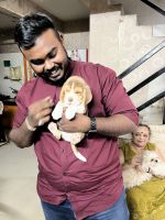 Bagel Hound  Puppies for sale in Vadodara, Gujarat, India. price: 25000 INR