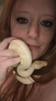 Ball Python Reptiles for sale in Bryant, AR, USA. price: NA