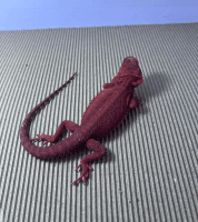 Bearded Dragon Reptiles for sale in Binghamton, NY, USA. price: NA