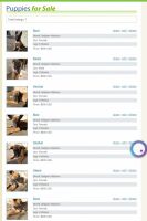 Belgian Shepherd Dog (Malinois) Puppies for sale in Lake Charles, LA, USA. price: NA