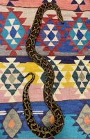 Burmese Python Reptiles for sale in Denver, CO, USA. price: NA