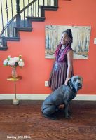 Cane Corso Puppies for sale in Midlothian, Texas. price: NA