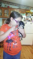 Chiweenie Puppies for sale in DeRidder, LA 70634, USA. price: NA