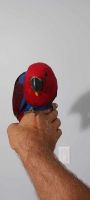 Eclectus Parrot Birds for sale in Irwin, Pennsylvania. price: $3,500