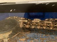 Gaboon viper Reptiles for sale in Fort Worth, TX 76123, USA. price: NA