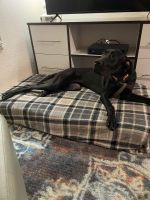 Great Dane Puppies for sale in Irving, TX, USA. price: $450