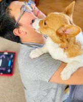 Pembroke Welsh Corgi Puppies for sale in Los Angeles, CA, USA. price: NA