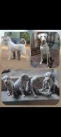 Rajapalayam Puppies for sale in Triplicane, Chennai, Tamil Nadu, India. price: NA