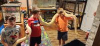 Reticulated python Reptiles for sale in Front Royal, Virginia. price: $1,000