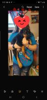 Rottweiler Puppies for sale in Fort Lauderdale, FL, USA. price: NA