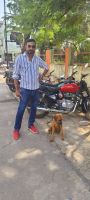 Rottweiler Puppies for sale in Mowa, Raipur, Chhattisgarh, India. price: 20000 INR