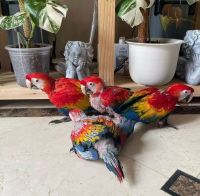 Scarlett Macaw Birds for sale in Charleston, West Virginia. price: $500