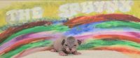 Sphynx Cats for sale in Pittsburgh, Pennsylvania. price: $2,300