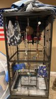 Sugar Glider Rodents for sale in Perrysburg, Ohio. price: $400