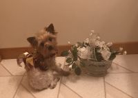 Yorkshire Terrier Puppies for sale in Gull Lake, Ross Township, MI 49012, USA. price: NA