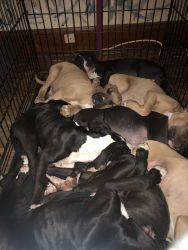 Pit mixes need gone