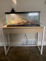 Ball Python with cage and stand