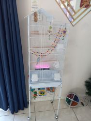 New Birdcage with all accessories and free blue parakeet