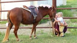 Mister Pony - 12.0 HH, 12 year old, Sorrel Pony Gelding