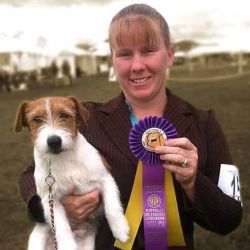 AKC Health Tested Russell Terrier