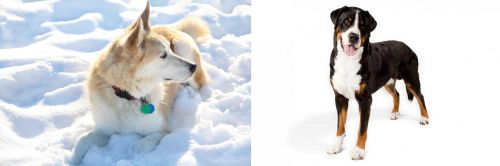 Labrador Husky vs Greater Swiss Mountain Dog - Breed Comparison