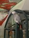 African Grey Birds for sale in Royersford, PA 19468, USA. price: NA