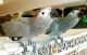 African Grey Parrot Birds for sale in Mexico City, Federal District, Mexico. price: NA