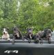 American Staffordshire Terrier Puppies for sale in Suffolk, VA, USA. price: $250