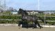 Andalusian Horses for sale in Miami Lakes, FL, USA. price: NA