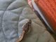Ball Python Reptiles for sale in West Hartford, CT, USA. price: $125