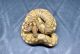 Ball Python Reptiles for sale in Lindenhurst, NY 11757, USA. price: $300