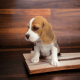Beagle Puppies for sale in 1309 Coffeen Ave, Sheridan, WY 82801, USA. price: NA