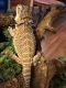 Bearded Dragon Reptiles for sale in Richmond, VA, USA. price: NA