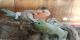 Bearded Dragon Reptiles for sale in Cedartown, GA 30125, USA. price: NA