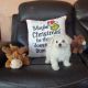 Bichon Frise Puppies for sale in Riverside, CA 92509, USA. price: $1,500