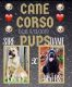 Cane Corso Puppies for sale in Conyers, GA, USA. price: NA