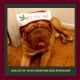 Dogue De Bordeaux Puppies for sale in Biloxi, MS, USA. price: NA