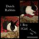 Dutch rabbit Rabbits for sale in Englewood, OH, USA. price: NA