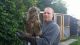 Eurasian Eagle-owl Birds for sale in Los Angeles, CA, USA. price: NA